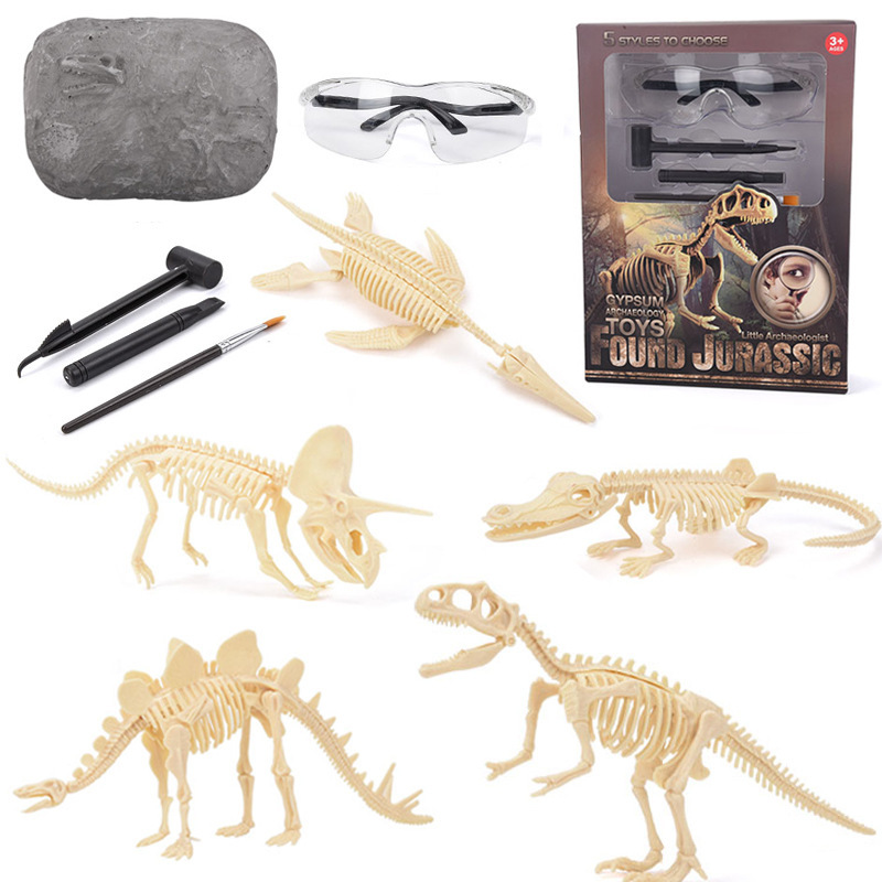 Model Kit Excavator - Kit d'excavation de fossiles de dinosaures