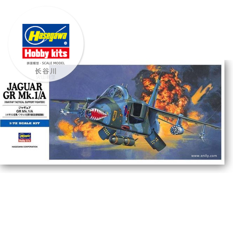 Modèle d'assemblage préfabriqu - Model Kit Hasegawa avis et prix
