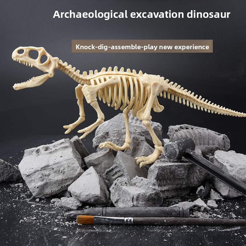 Kit d'excavation de fossiles d - Model Kit Excavator avis et prix